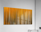 Birch Tree Forest Wyoming Impression acrylique