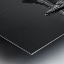 Power of Nature Asturias Black and White Metal print