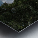 Urban Nature | Toronto Cityscape Through Green Foliage Metal print