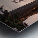 Golden Gate View Metal print