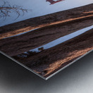 Golden Gate Bridge | Framed by Trees Impression metal