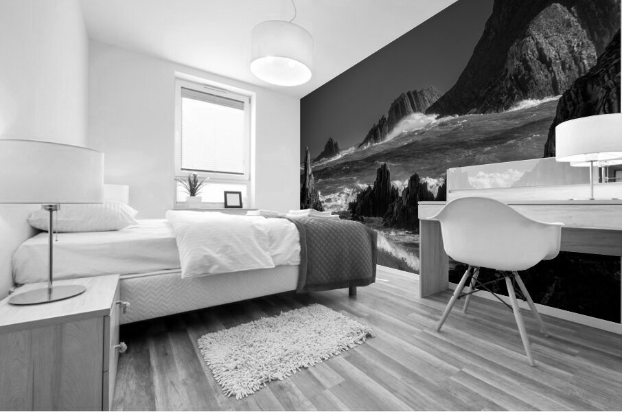 Power of Nature Asturias Black and White Mural print