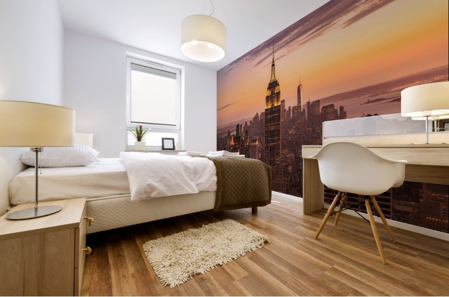 Manhattan From Above Mural print