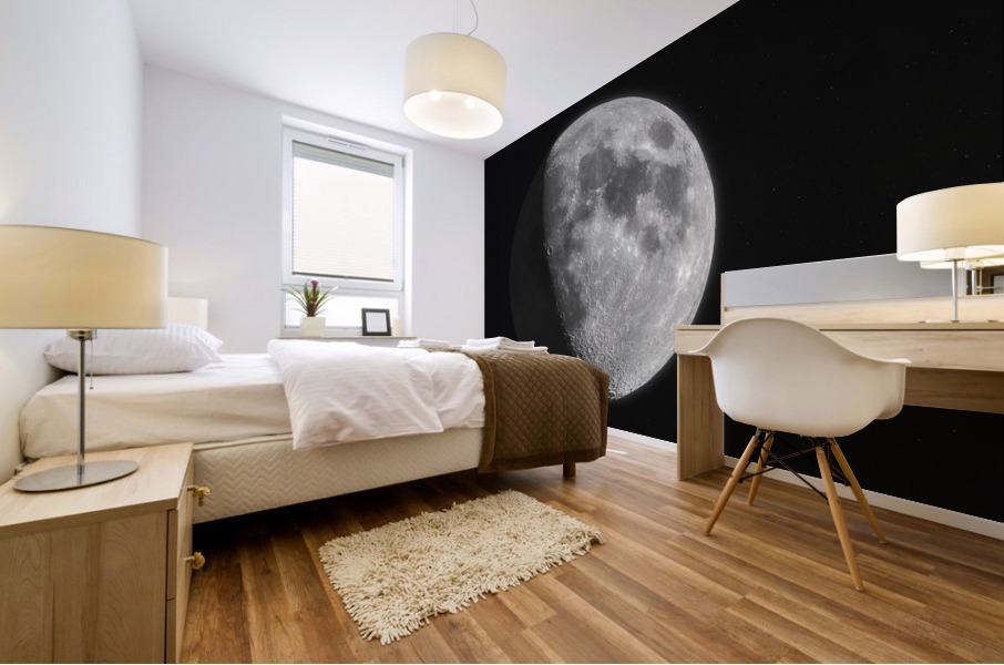The Moon Mural print