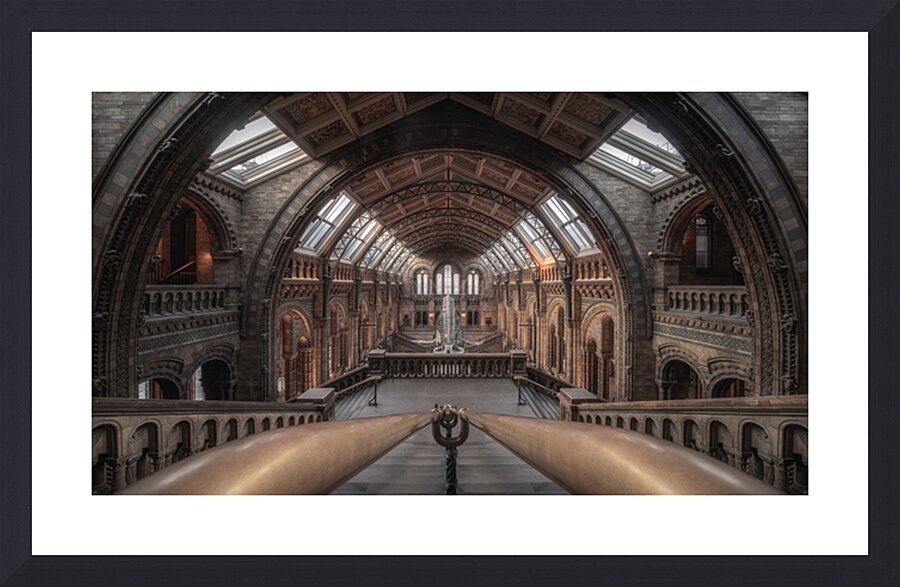 Natural History Museum London | Grand Interior Architecture Photography Picture Frame print