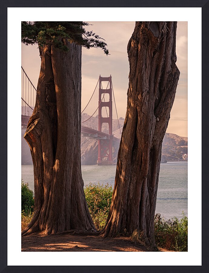 Golden Gate View Picture Frame print