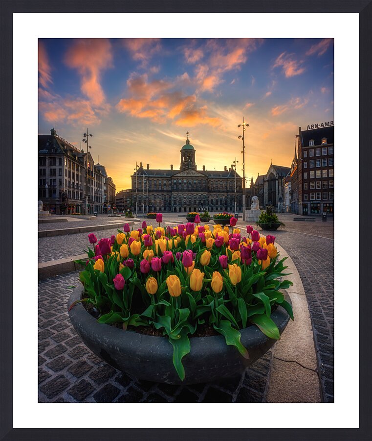 Tulips From Amsterdam Picture Frame print