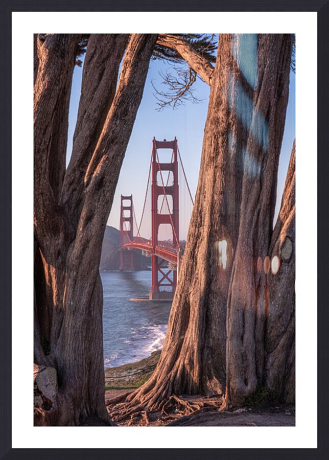 Golden Gate Bridge | Framed by Trees Impression et Cadre photo