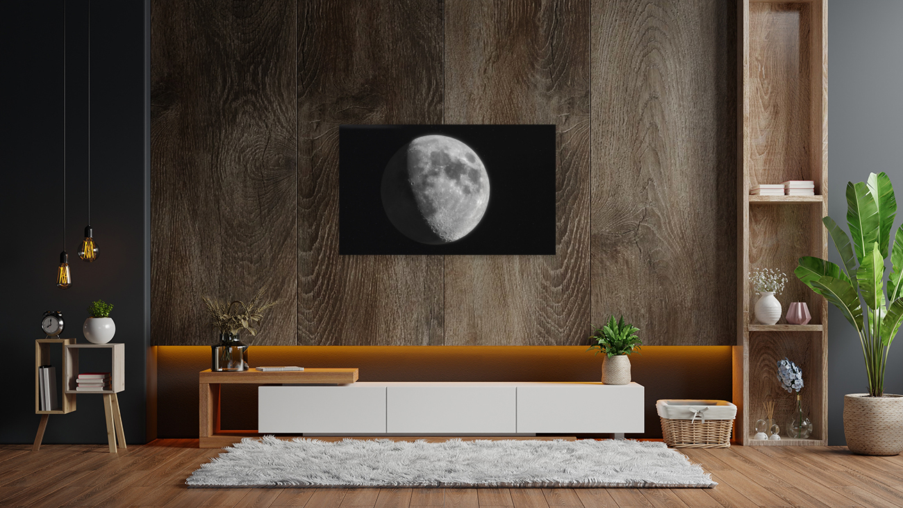 The Moon Reproduction