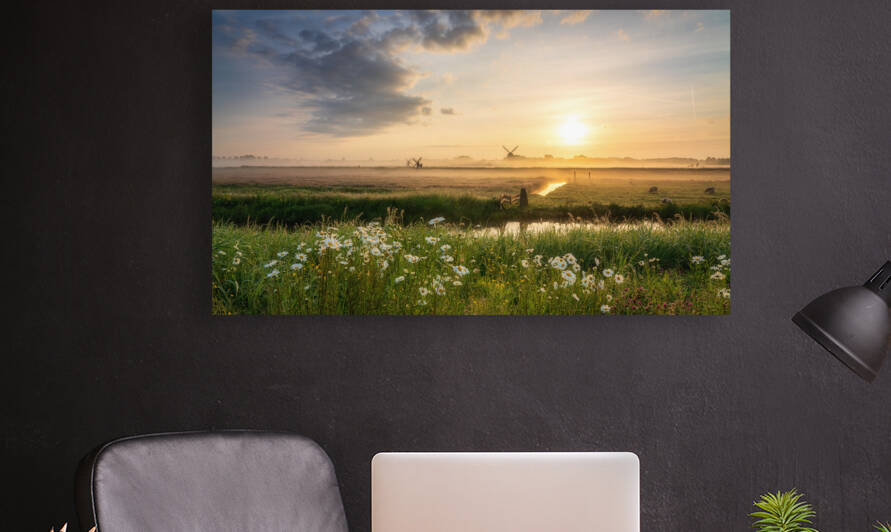 Dutch Windmills and Wildflowers at Dawn | Misty Sunrise Over the Dutch Countryside by Dutch Photographer