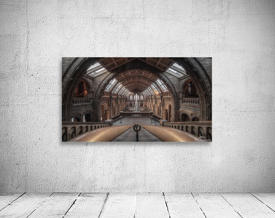 Natural History Museum London | Grand Interior Architecture Photography Wall Preview