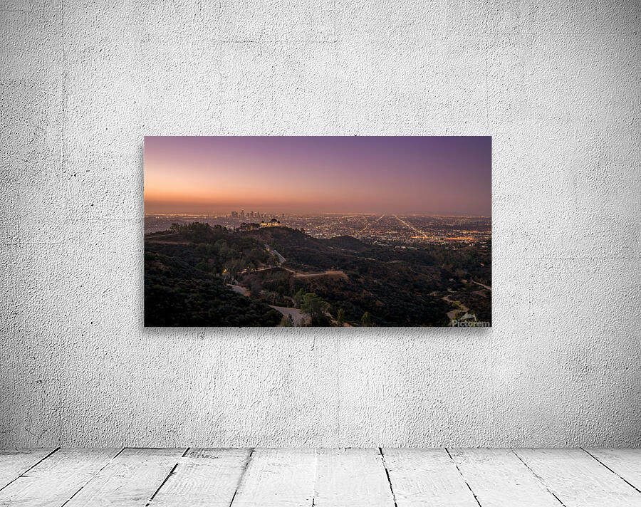 Griffith Observatory Los Angeles Wall Preview