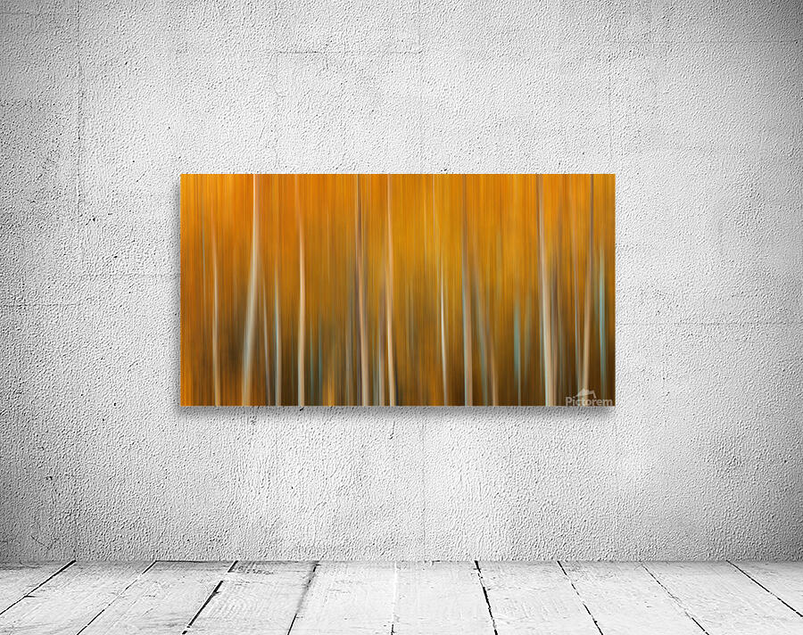 Birch Tree Forest Wyoming Wall Preview