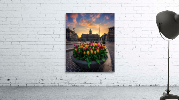 Tulips From Amsterdam Wall Preview