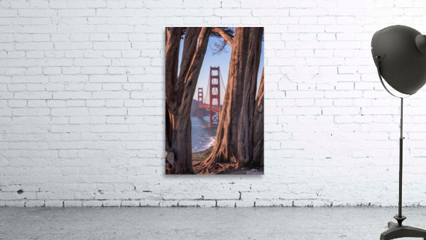 Golden Gate Bridge | Framed by Trees Wall Preview