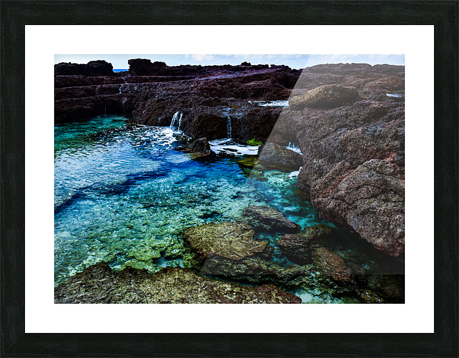 Tidepool Picture Frame print
