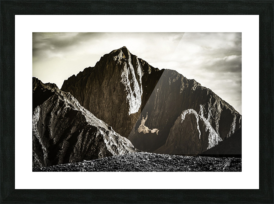 Morrison  Picture Frame print