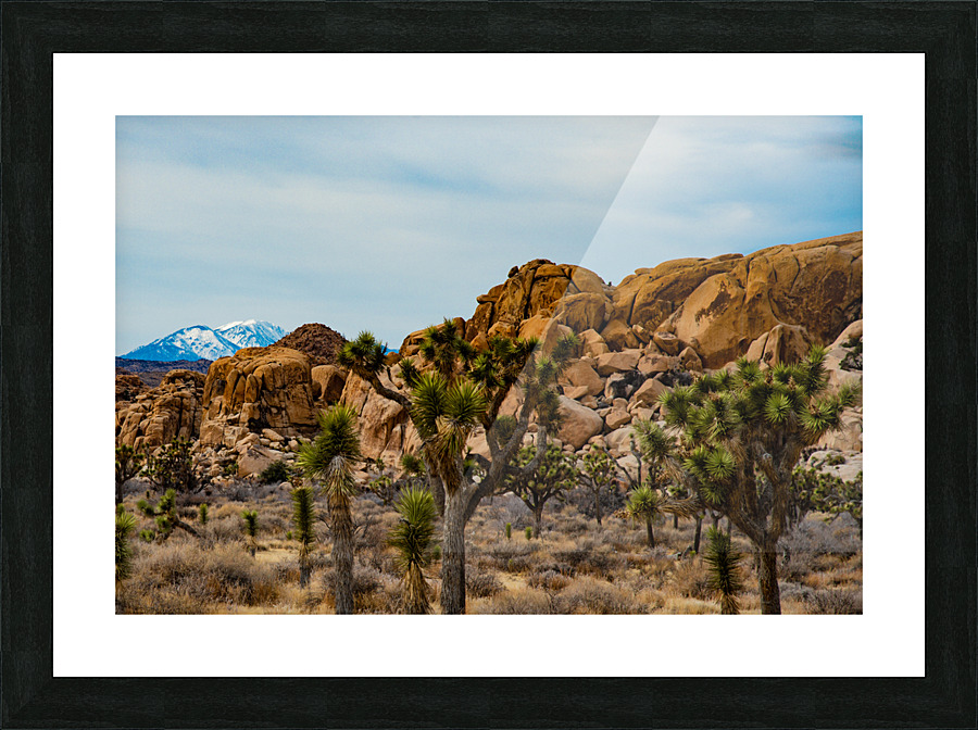 Desert and Mountains Picture Frame print