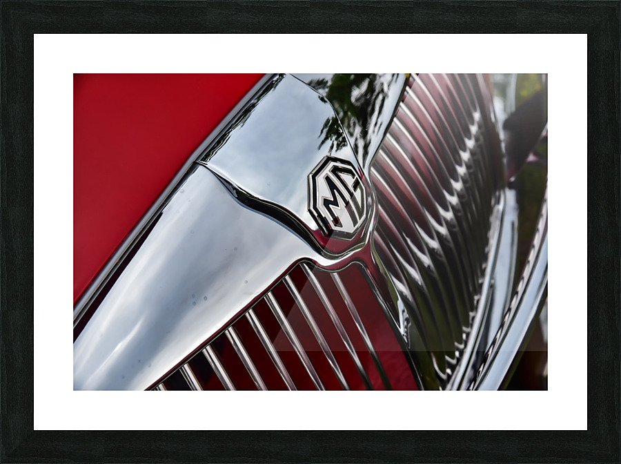 MG Grill Picture Frame print