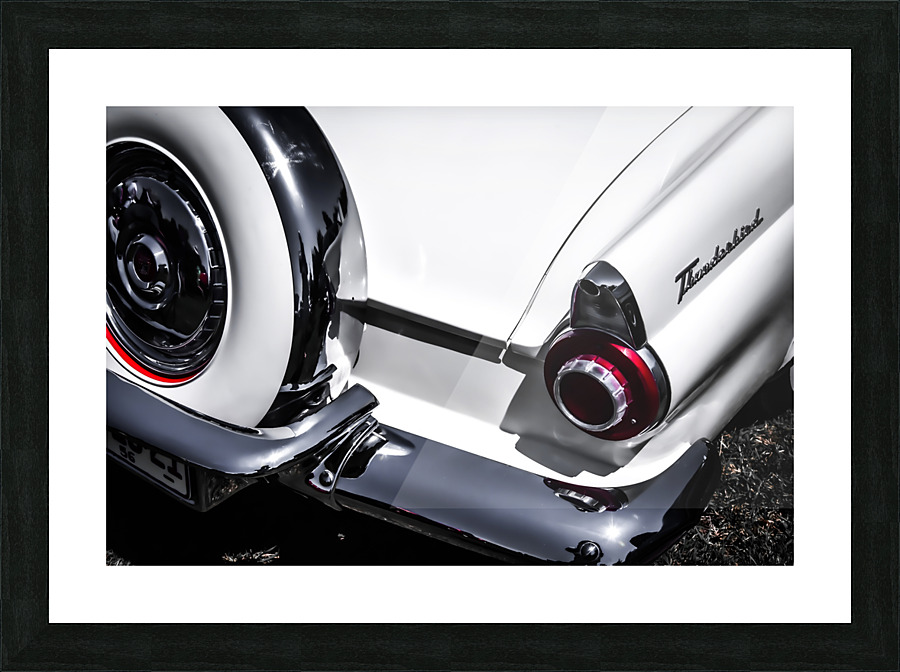 Wing and a Spare Picture Frame print