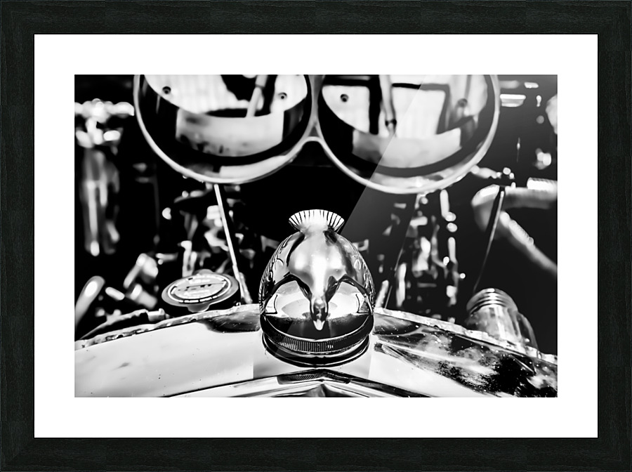 Chrome Picture Frame print