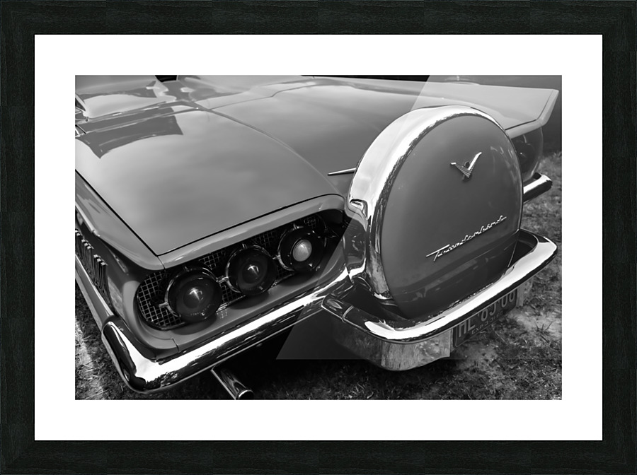 T-Bird B-W Picture Frame print
