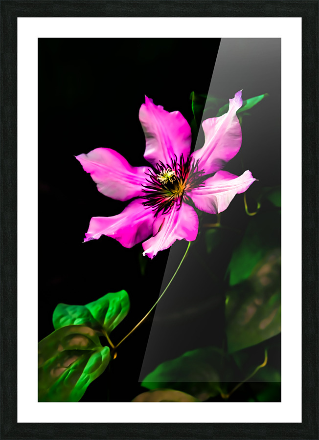 Flower Picture Frame print