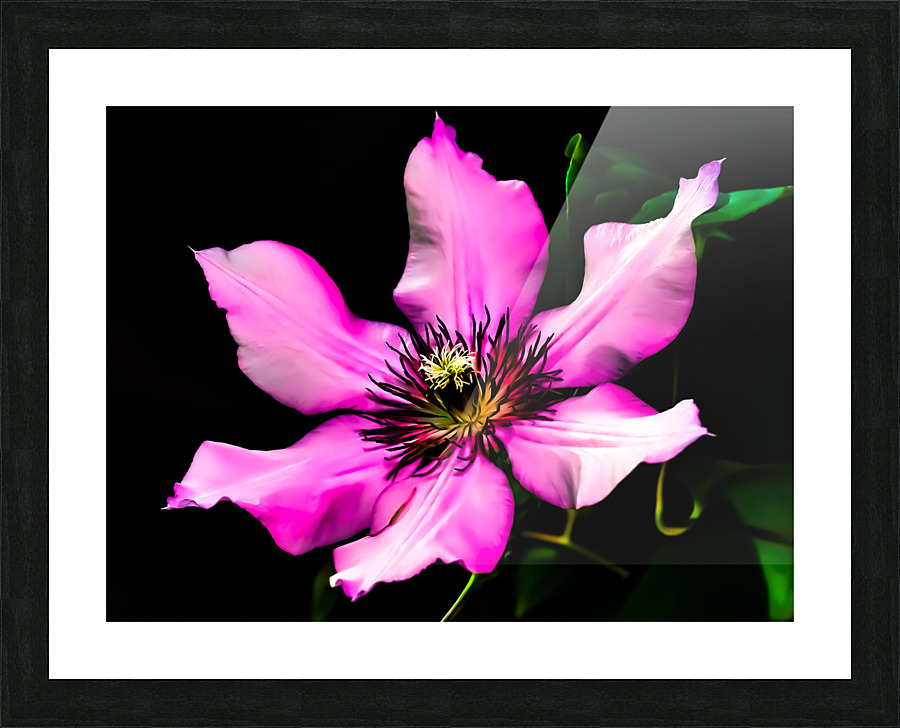 Flower 2 Picture Frame print