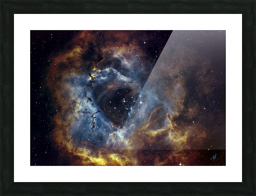 Rosette 2022 3 1 Picture Frame print