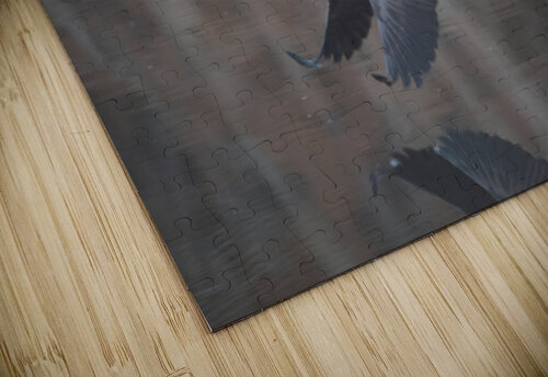 Geese Reflections 4 LG John Myers puzzle