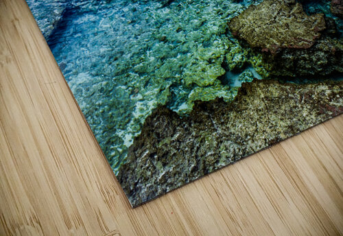 Tidepool John Myers puzzle