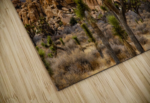 Desert and Mountains John Myers puzzle