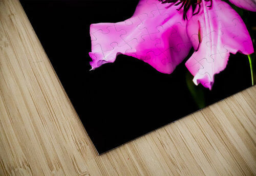 Flower 2 John Myers puzzle
