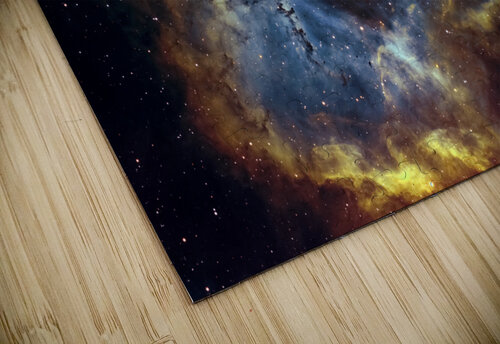 Rosette 2022 3 1 John Myers puzzle