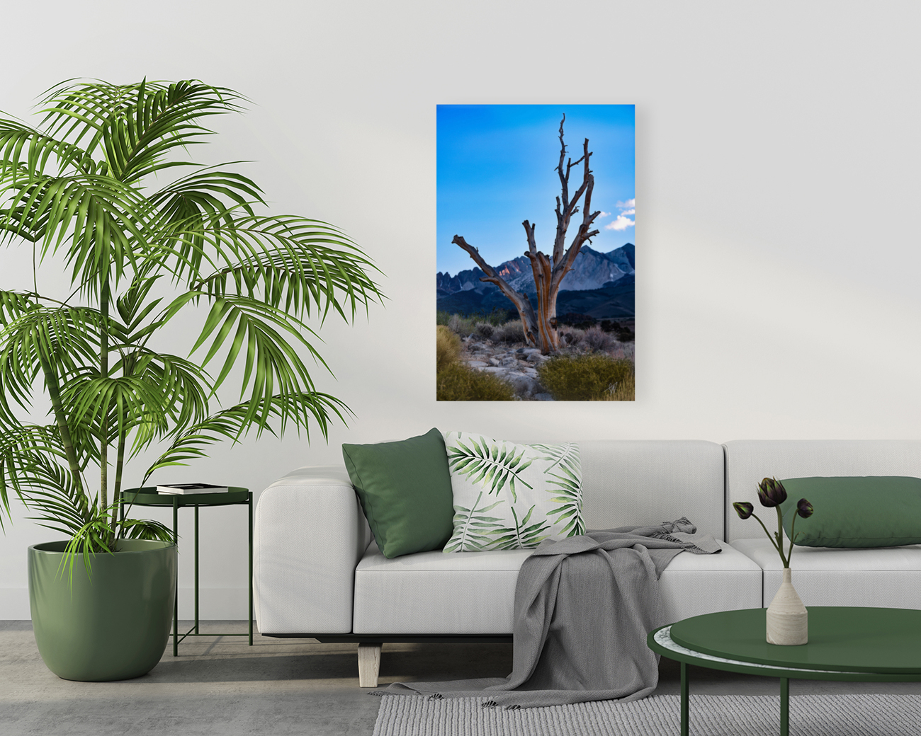 Sierra Tree Reproduction