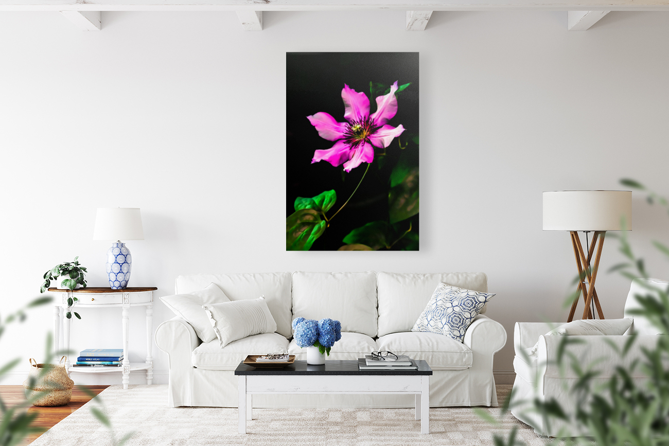 Flower Reproduction