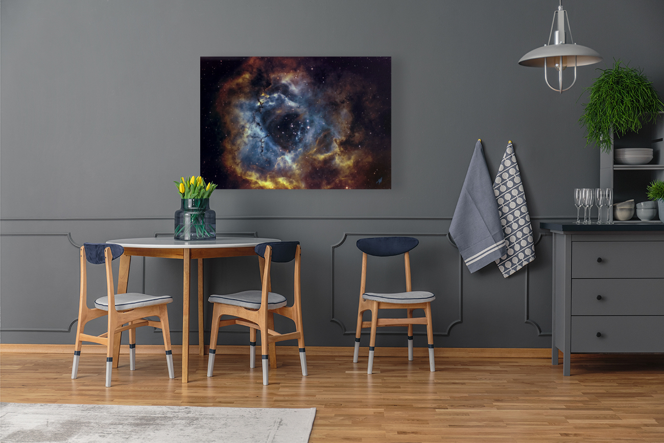 Rosette 2022 3 1 Reproduction