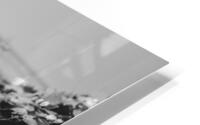 Doheny - Shortcut HD Metal print