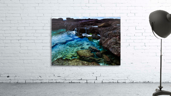 Tidepool Wall Preview