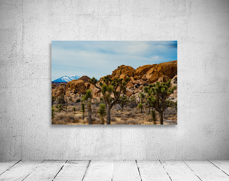 Desert and Mountains Wall Preview