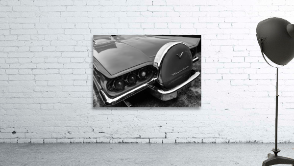 T-Bird B-W Wall Preview