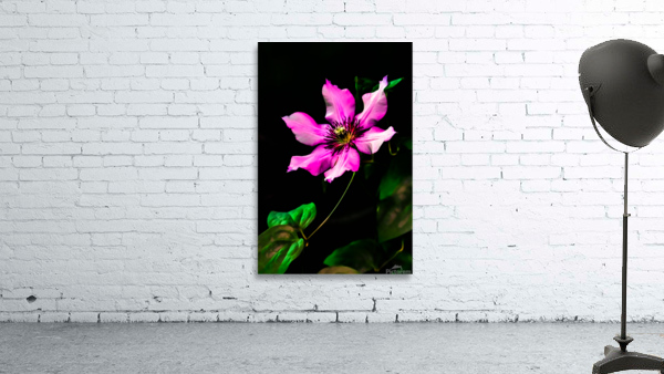 Flower Wall Preview