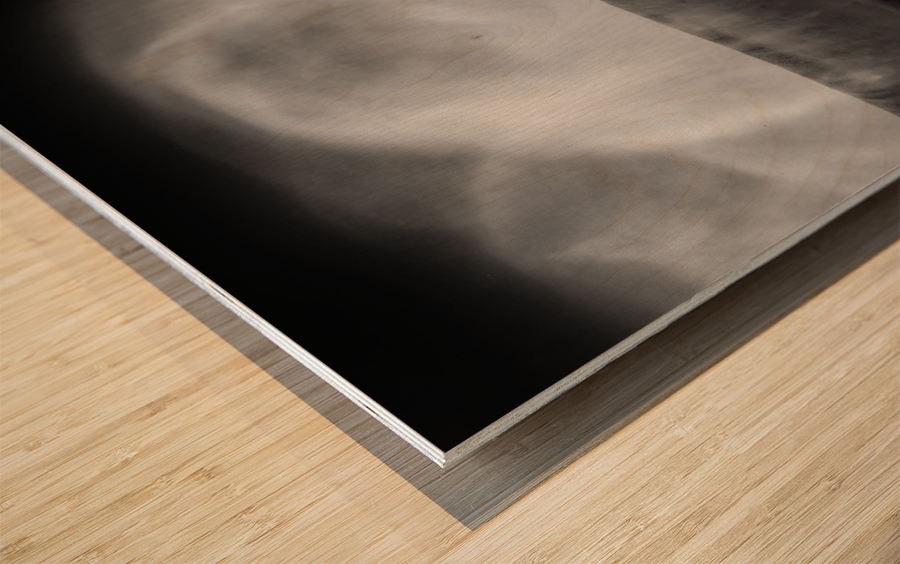 Hydro flow Wood print