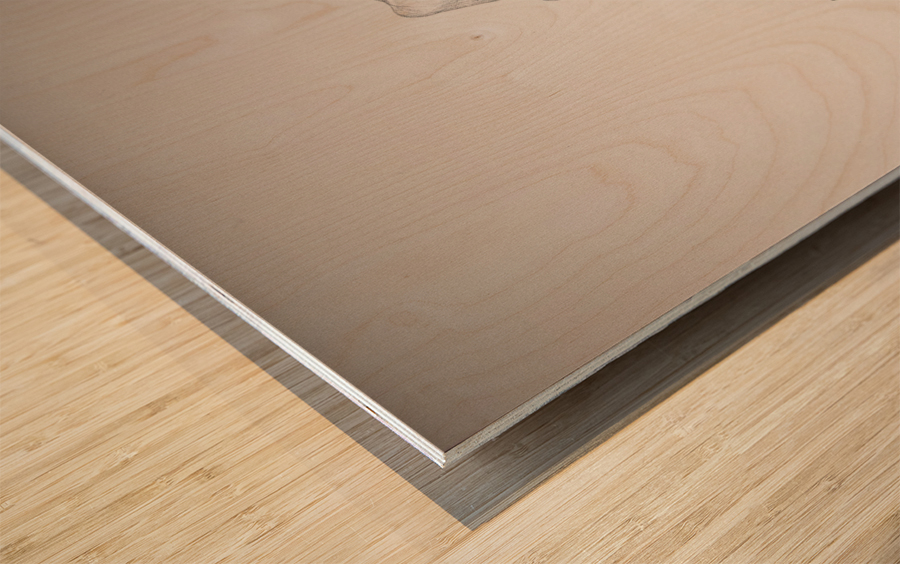 Red Point Wood print