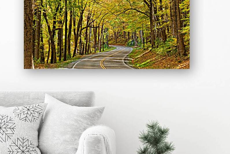 Smoky Mountain Road In Autumn by Wendell Franks