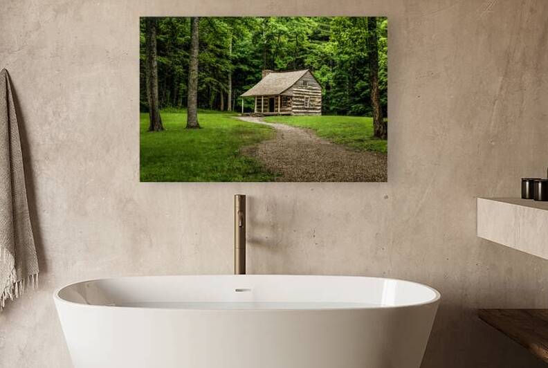 Pioneer Cabin In The Woods by Wendell Franks