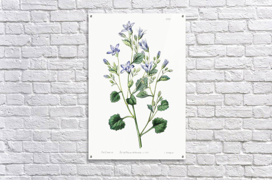 Impression Acrylique