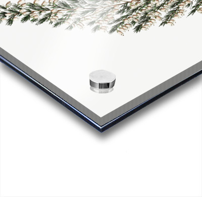 Bell-bearing heath from Edwards Botanical Register 1829-1847  by Sydenham Edwards John Lindley and James Ridgway.  Acrylic printing