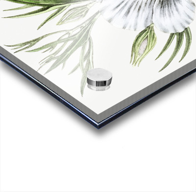 Lilac hibiscus from Edwards Botanical Register 1829-1847  by Sydenham Edwards John Lindley and James Ridgway.  Acrylic printing