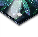 A glowing ultraviolet punk flower By ISHISH Acrylic print